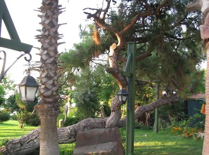 Sumela Garden 3* 벨디비